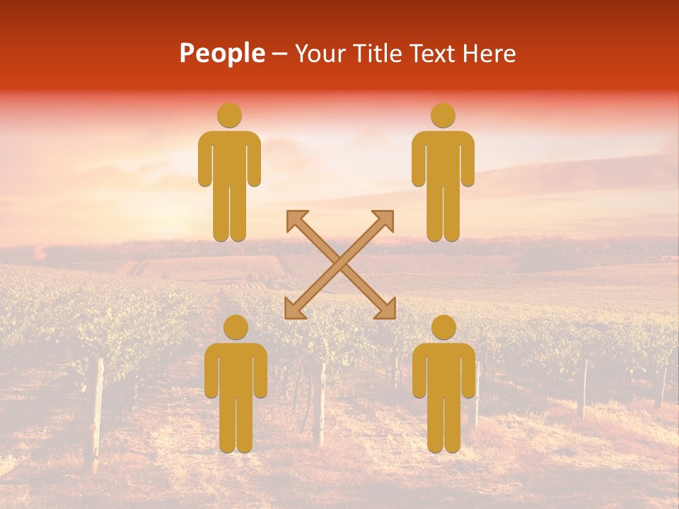 Vineyard Sunset PowerPoint Template