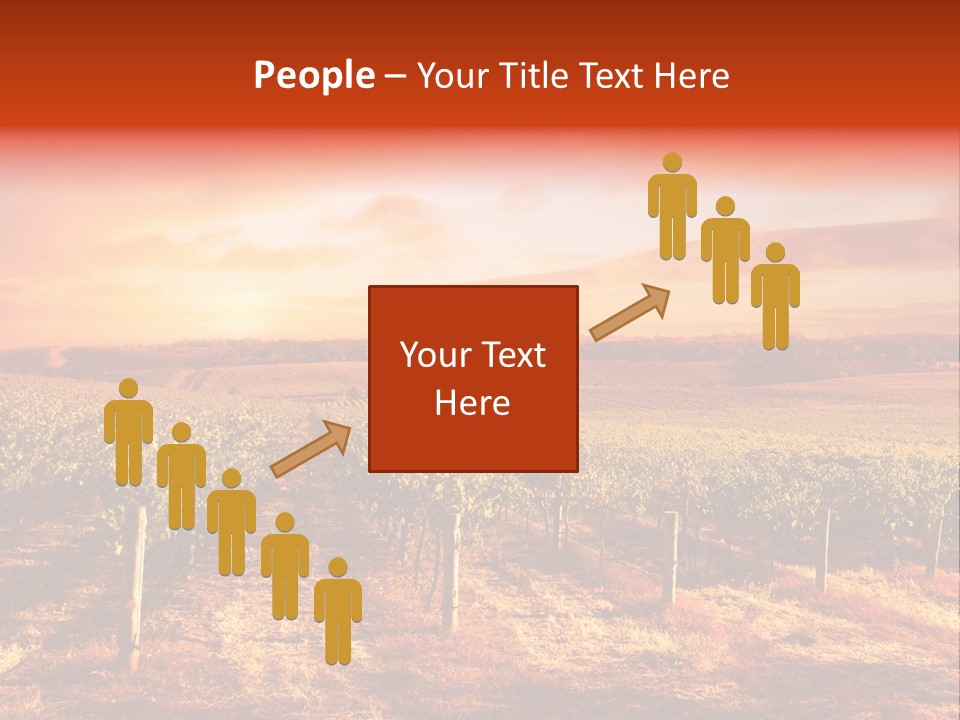 Vineyard Sunset PowerPoint Template