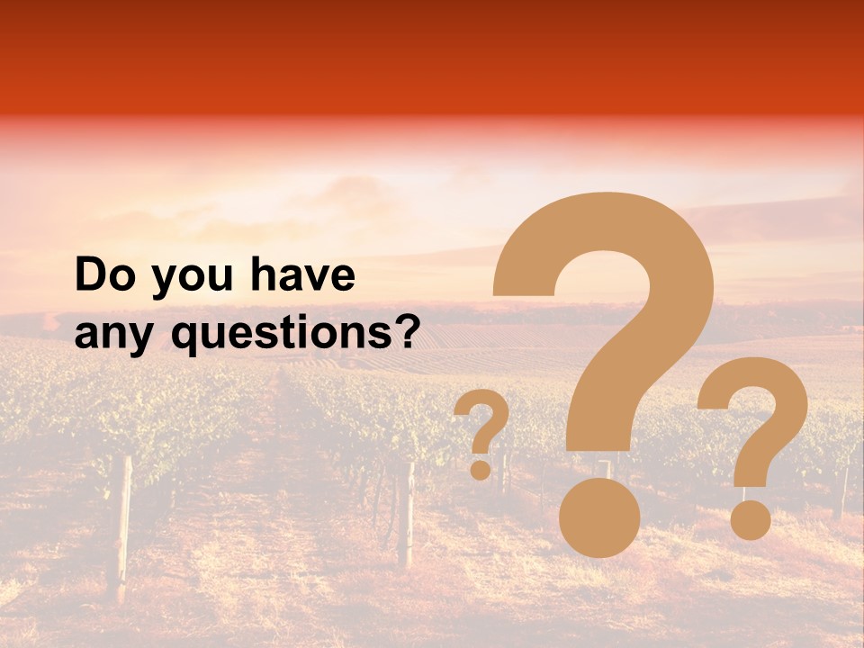 Vineyard Sunset PowerPoint Template