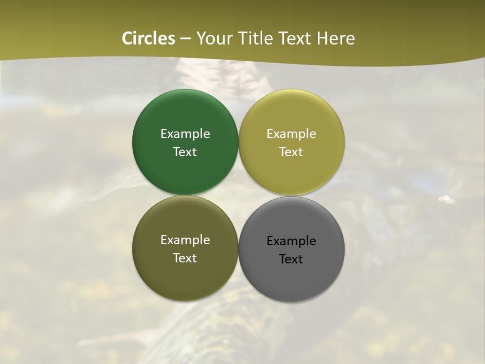 Flyfishing PowerPoint Template