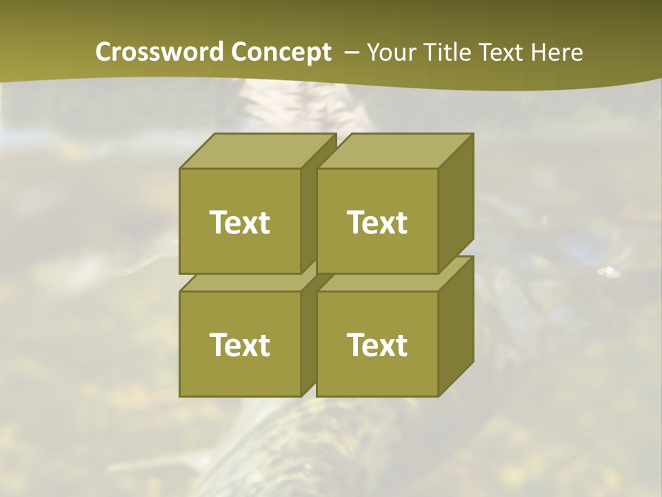 Flyfishing PowerPoint Template