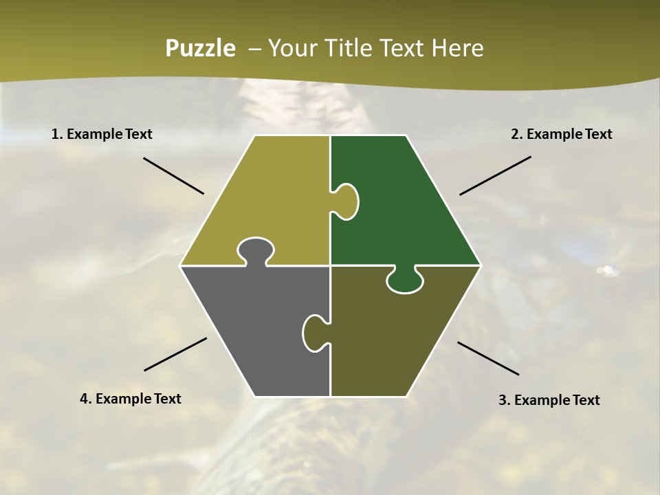 Flyfishing PowerPoint Template