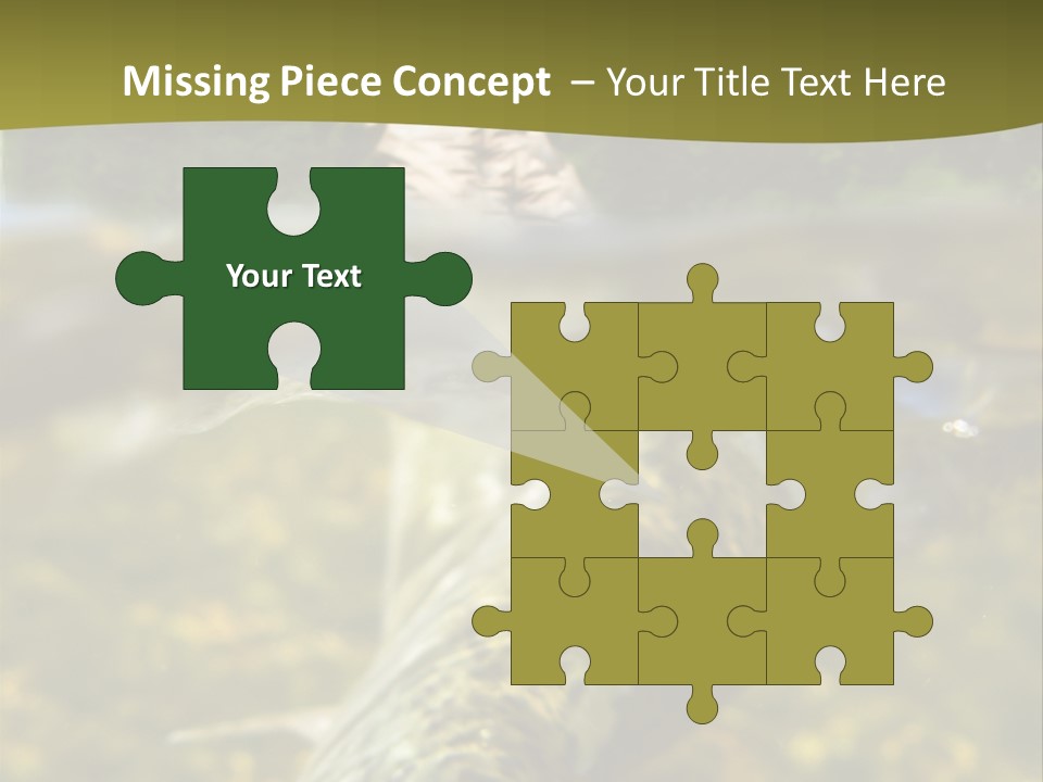 Flyfishing PowerPoint Template