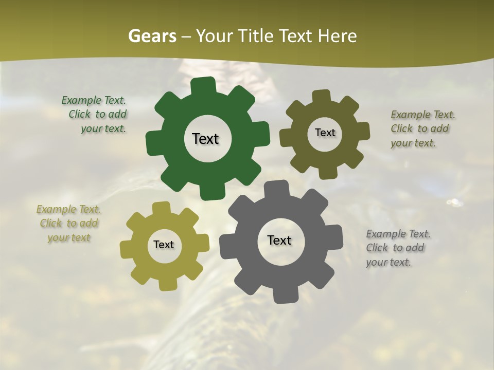 Flyfishing PowerPoint Template