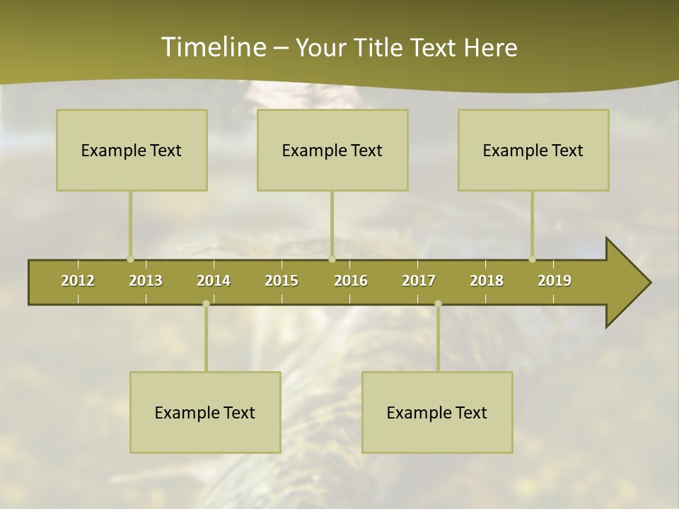 Flyfishing PowerPoint Template