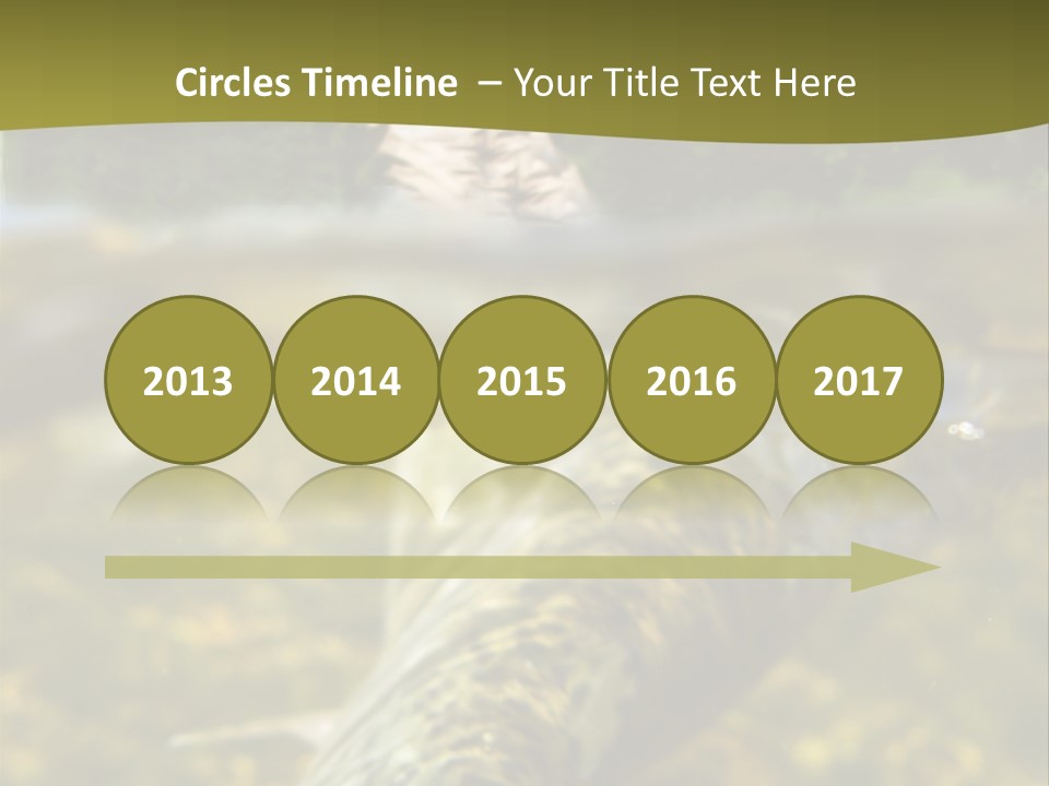 Flyfishing PowerPoint Template