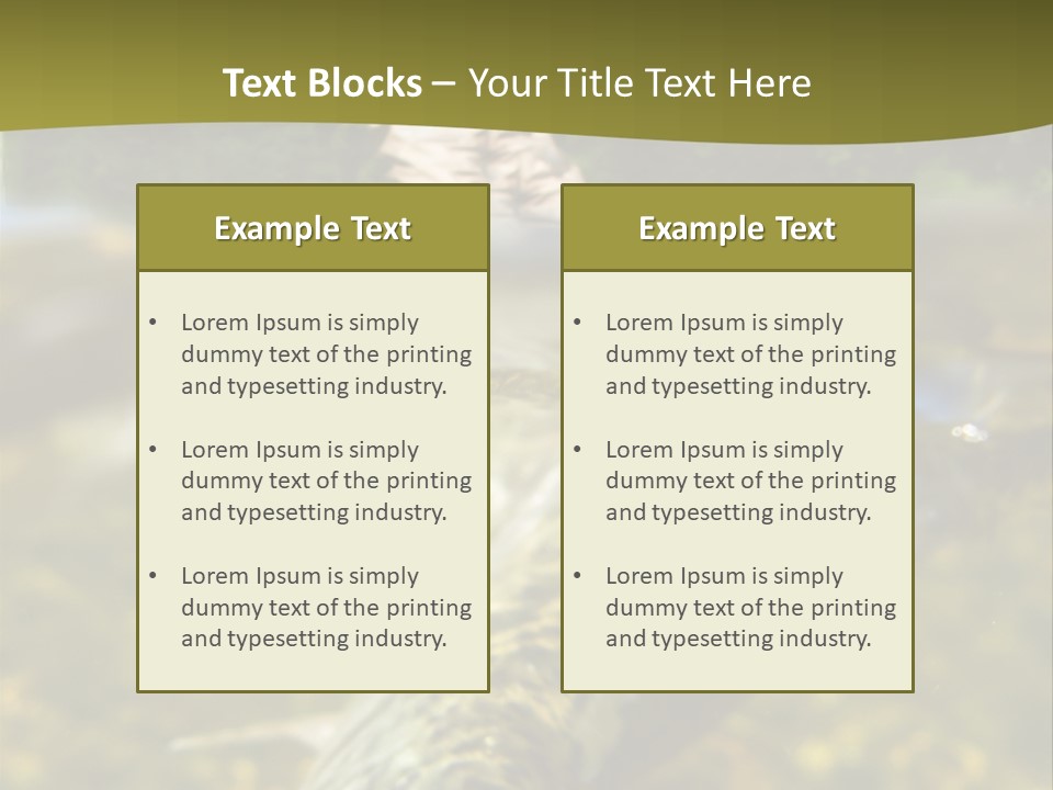 Flyfishing PowerPoint Template