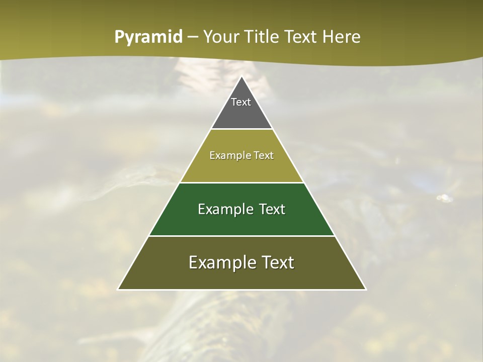 Flyfishing PowerPoint Template