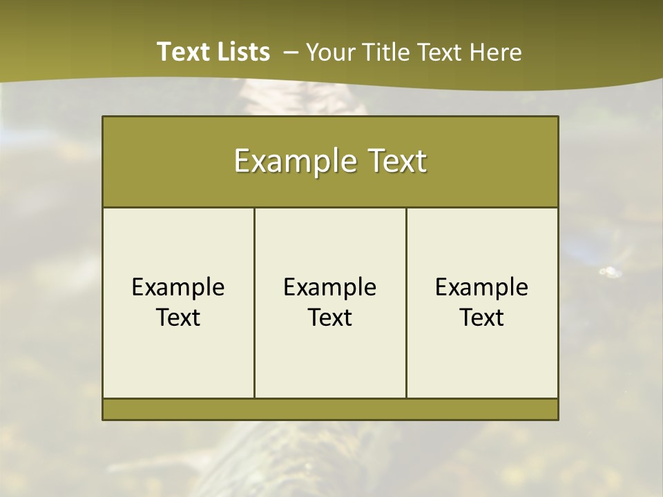 Flyfishing PowerPoint Template