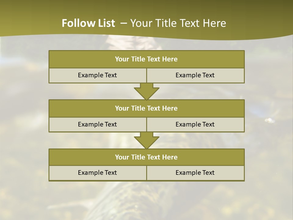 Flyfishing PowerPoint Template