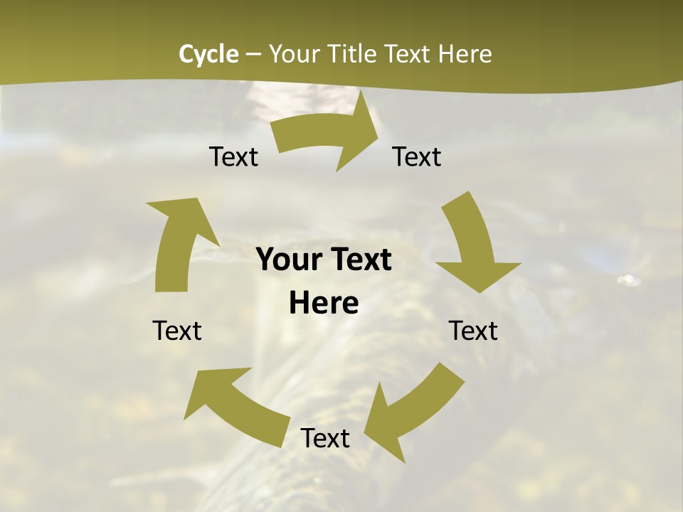 Flyfishing PowerPoint Template