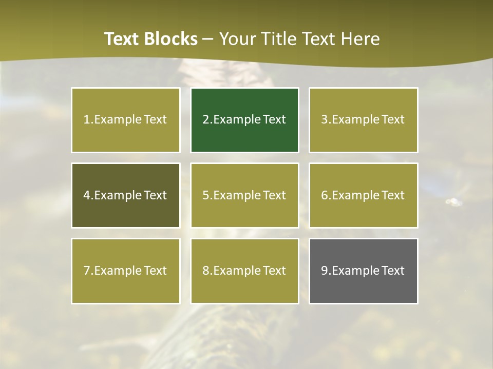 Flyfishing PowerPoint Template