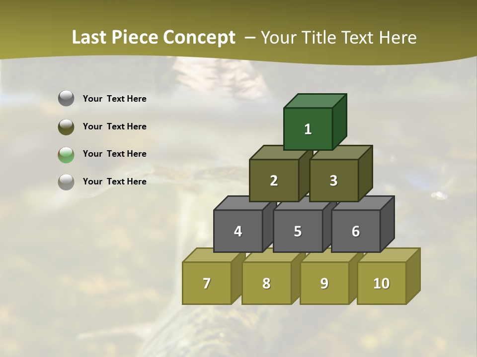 Flyfishing PowerPoint Template