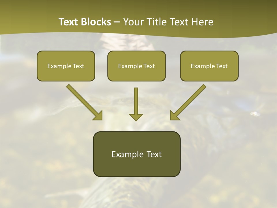 Flyfishing PowerPoint Template