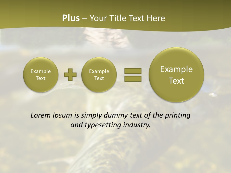 Flyfishing PowerPoint Template