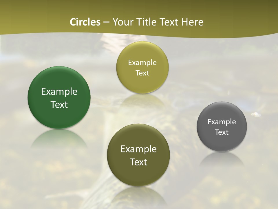 Flyfishing PowerPoint Template