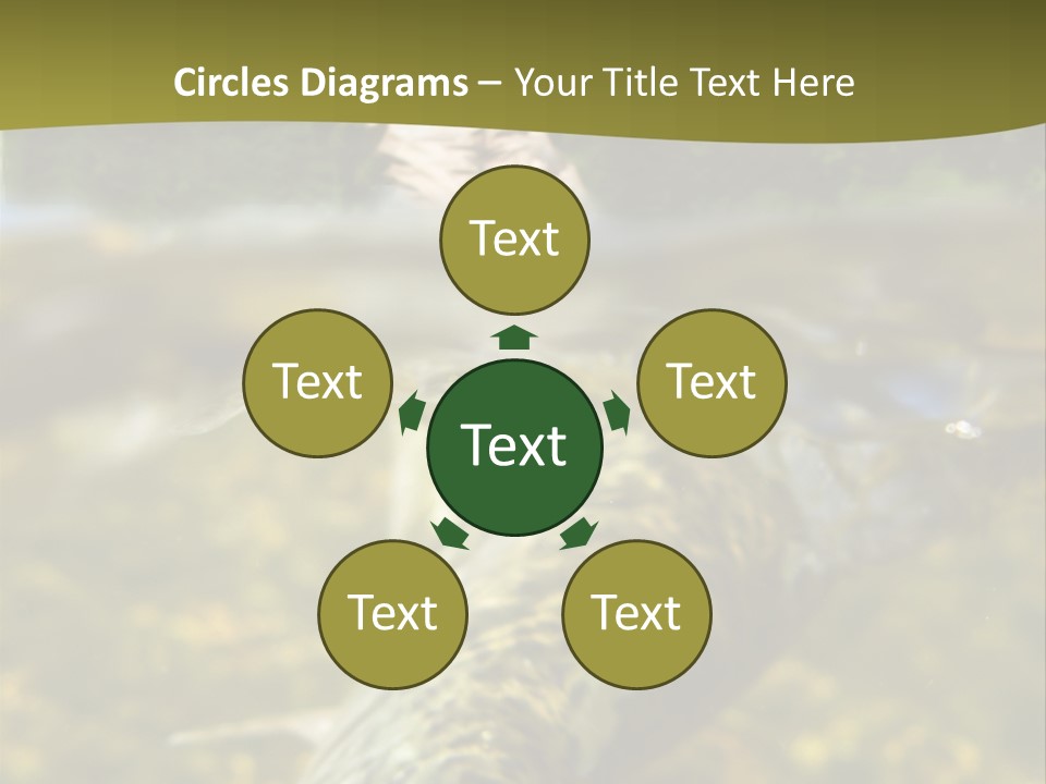 Flyfishing PowerPoint Template