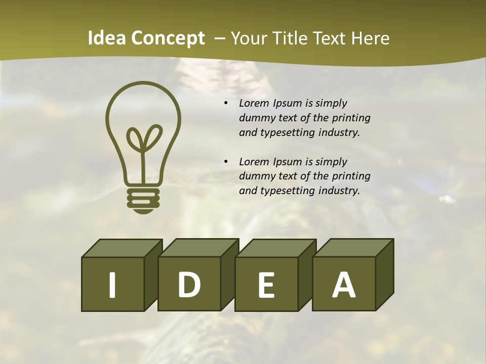 Flyfishing PowerPoint Template