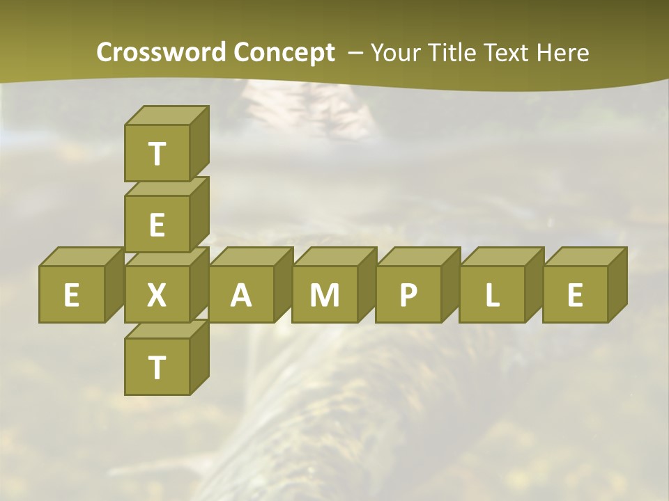 Flyfishing PowerPoint Template