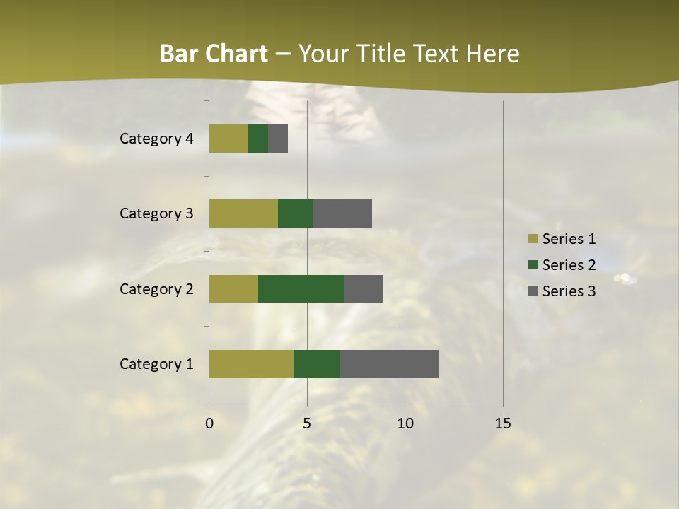 Flyfishing PowerPoint Template