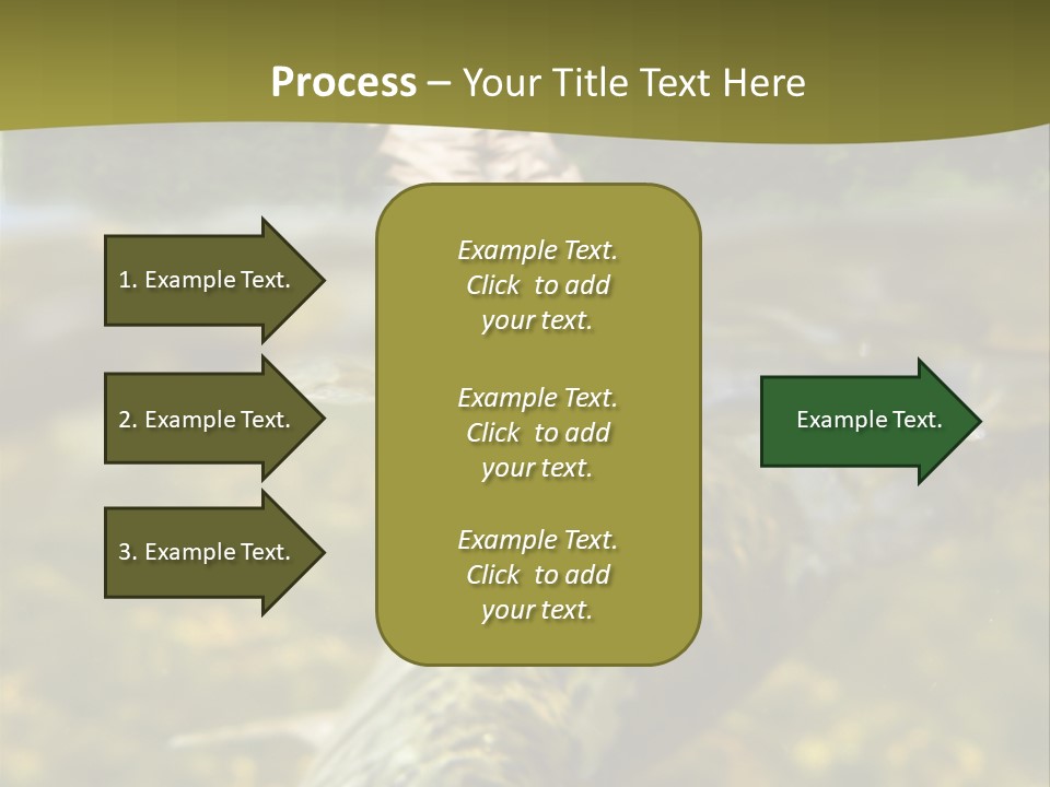 Flyfishing PowerPoint Template