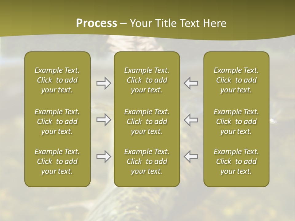 Flyfishing PowerPoint Template
