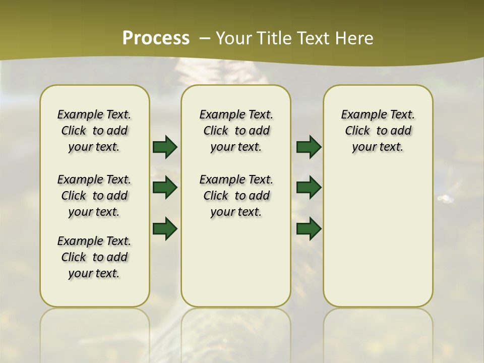 Flyfishing PowerPoint Template