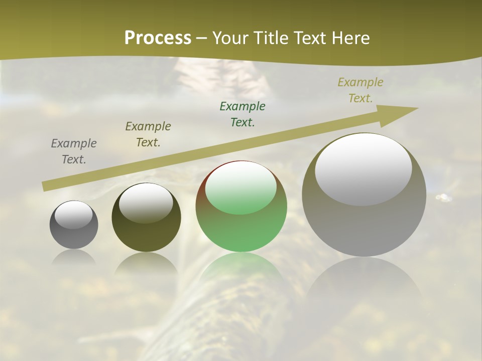 Flyfishing PowerPoint Template