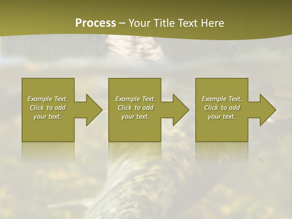 Flyfishing PowerPoint Template