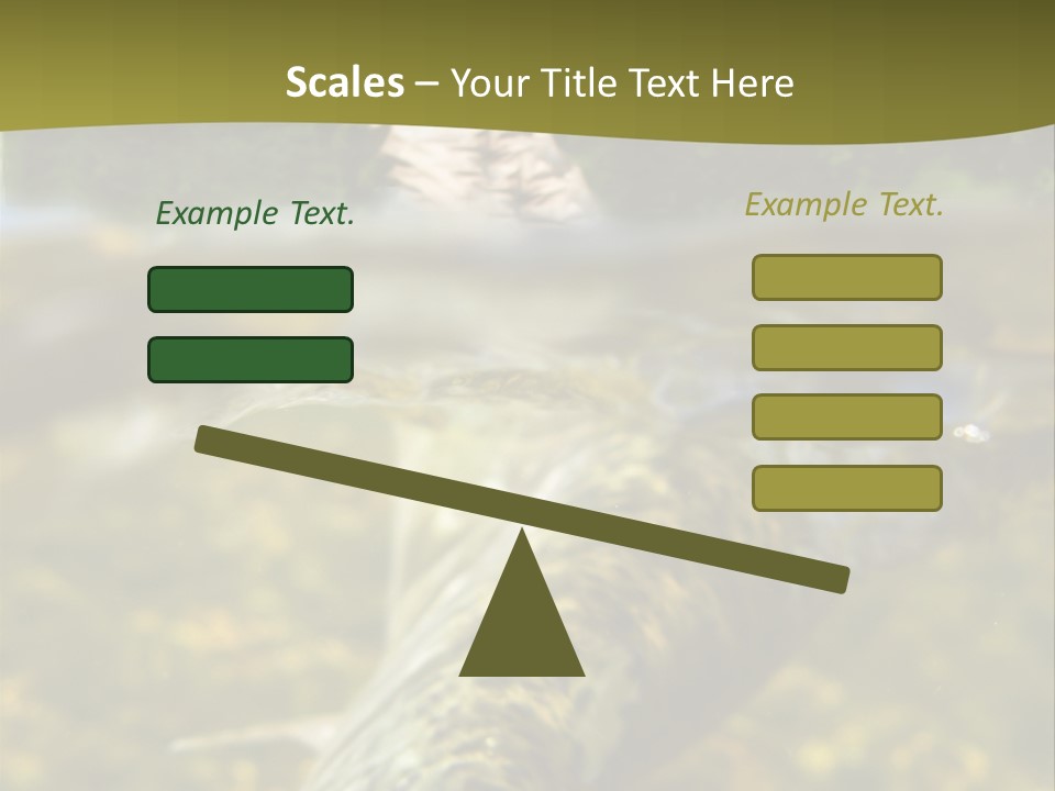 Flyfishing PowerPoint Template