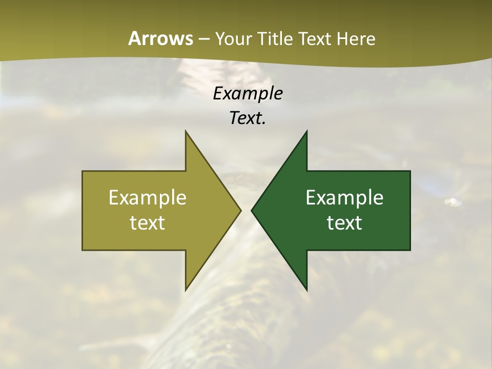 Flyfishing PowerPoint Template