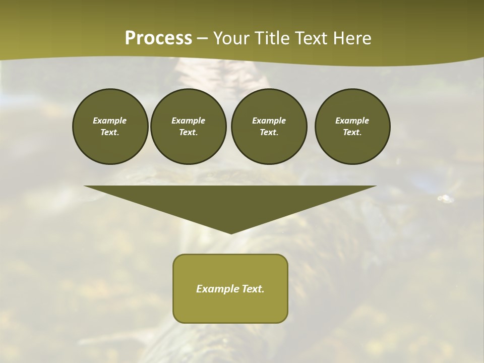 Flyfishing PowerPoint Template