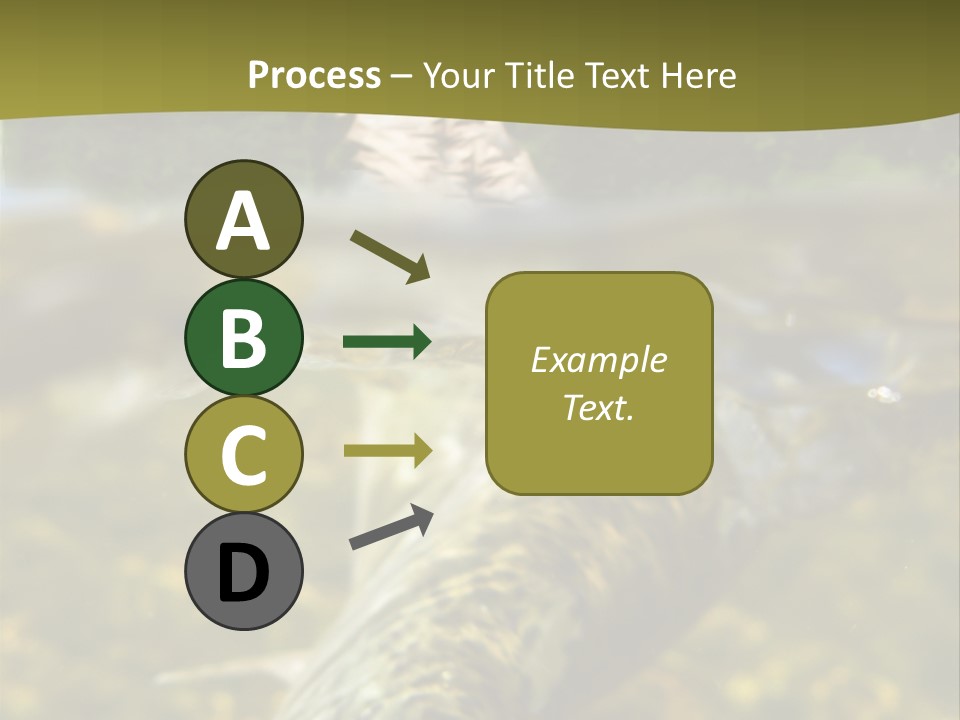 Flyfishing PowerPoint Template