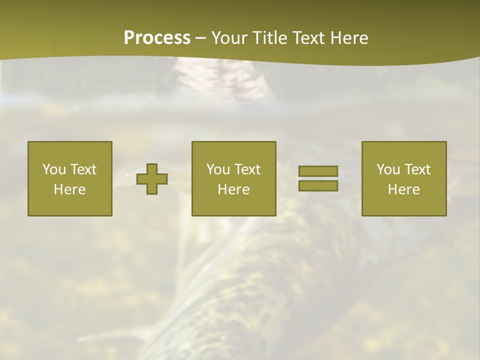 Flyfishing PowerPoint Template