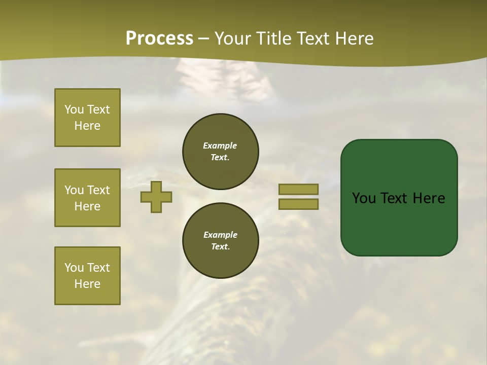 Flyfishing PowerPoint Template