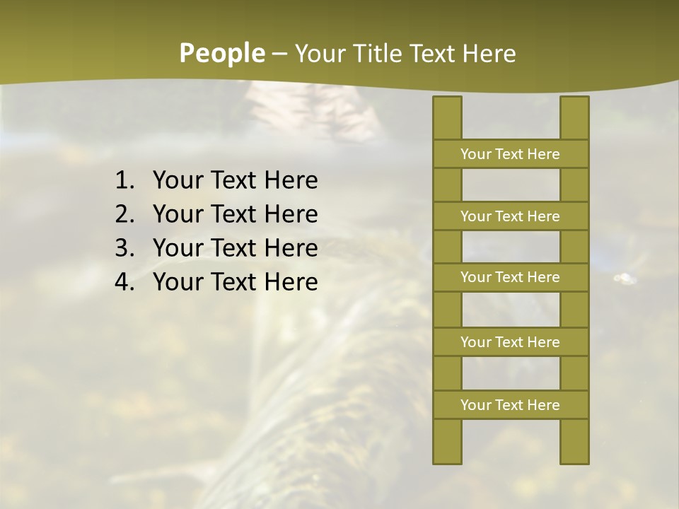 Flyfishing PowerPoint Template