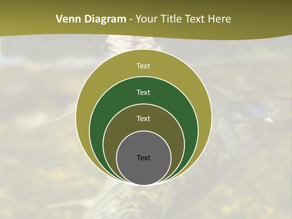 Flyfishing PowerPoint Template