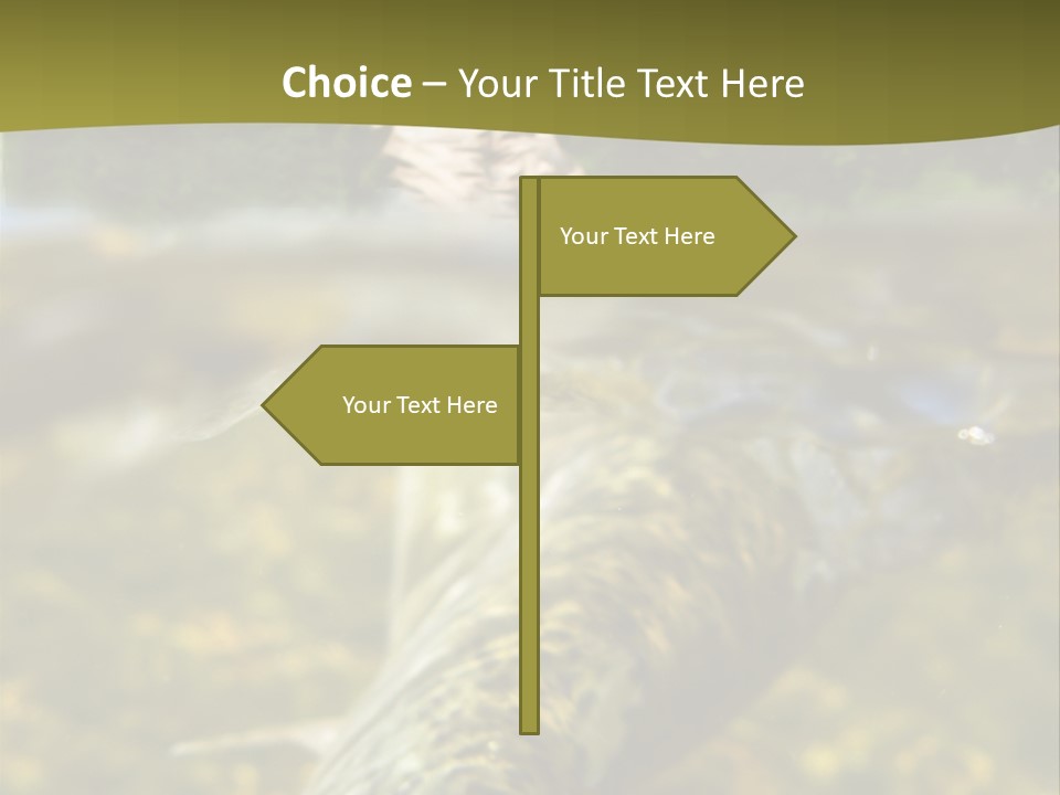 Flyfishing PowerPoint Template