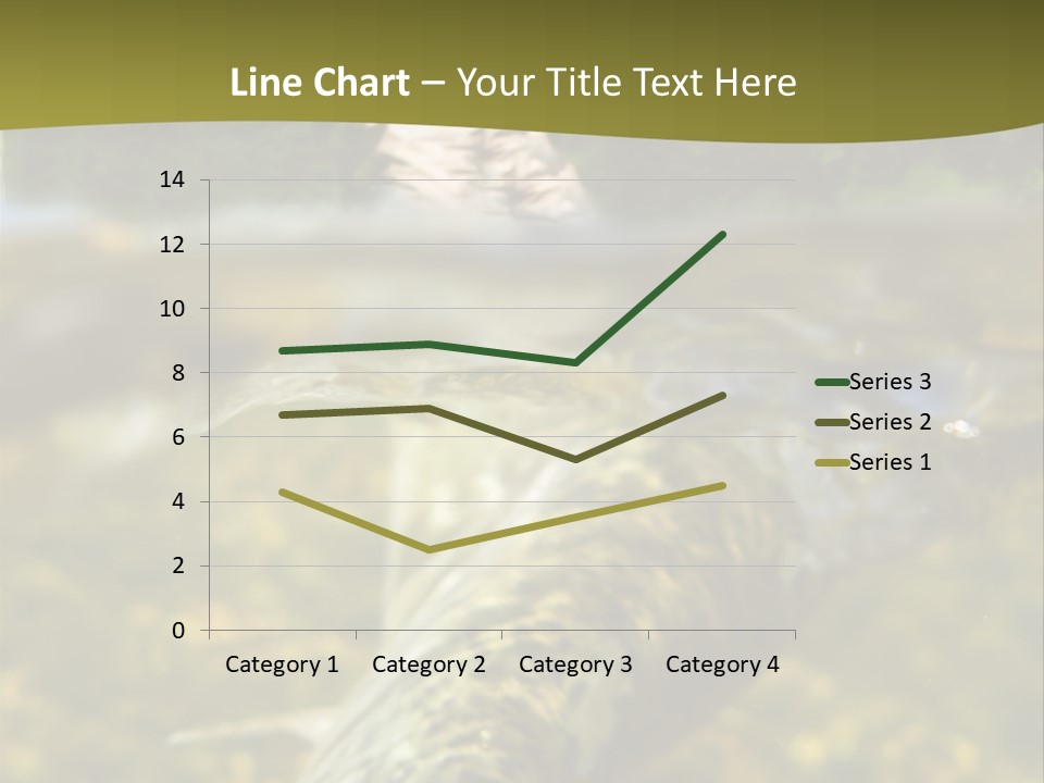 Flyfishing PowerPoint Template