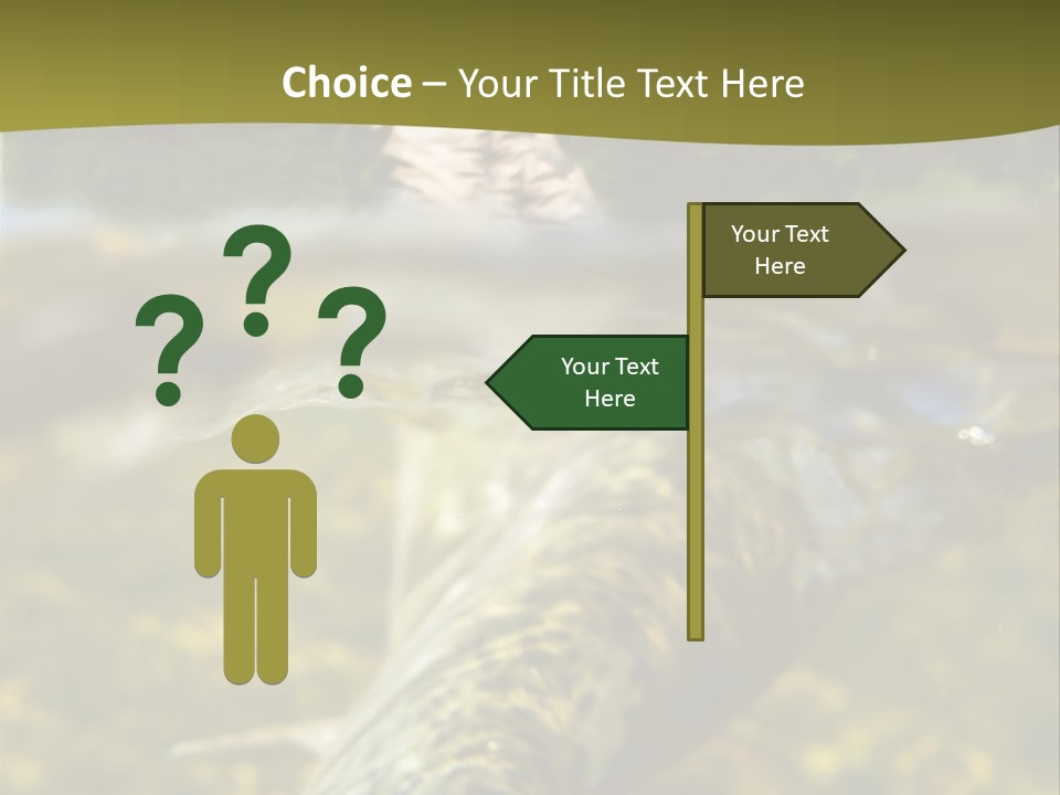 Flyfishing PowerPoint Template