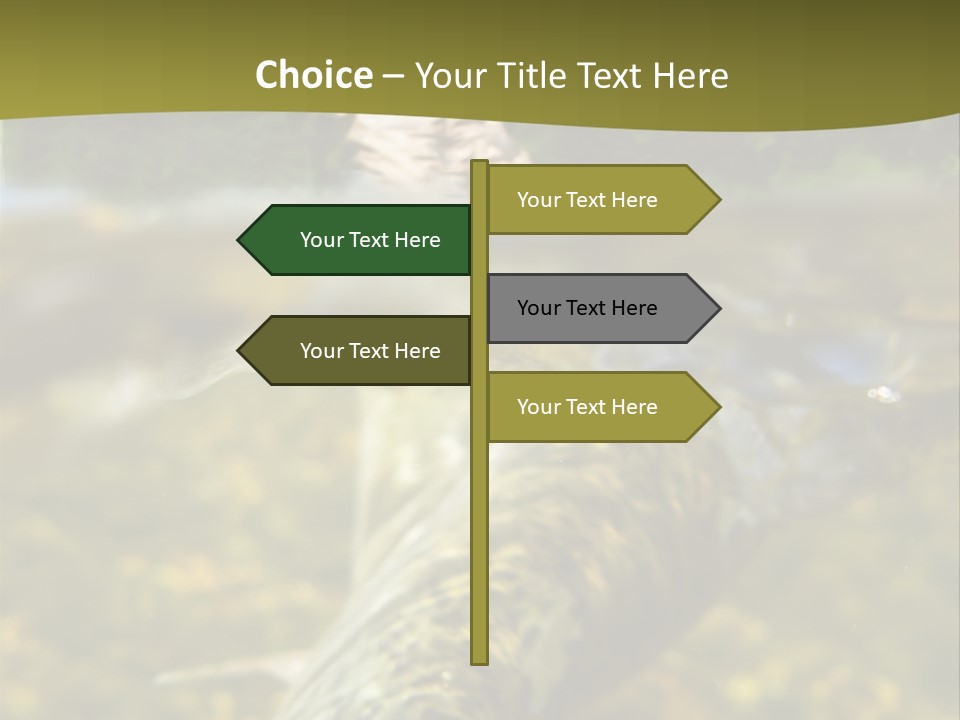 Flyfishing PowerPoint Template