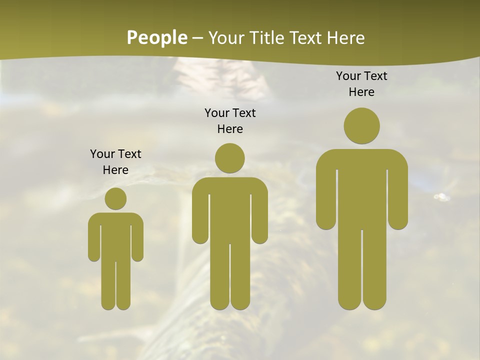Flyfishing PowerPoint Template