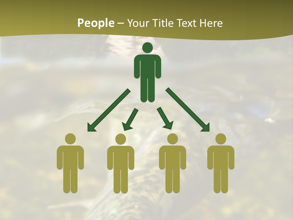 Flyfishing PowerPoint Template