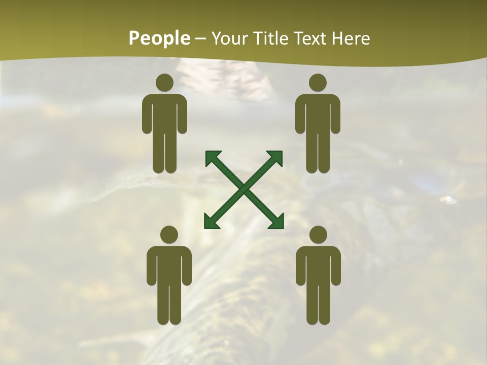 Flyfishing PowerPoint Template
