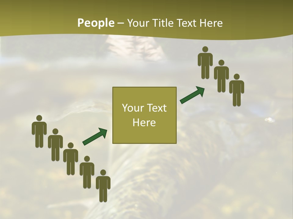 Flyfishing PowerPoint Template