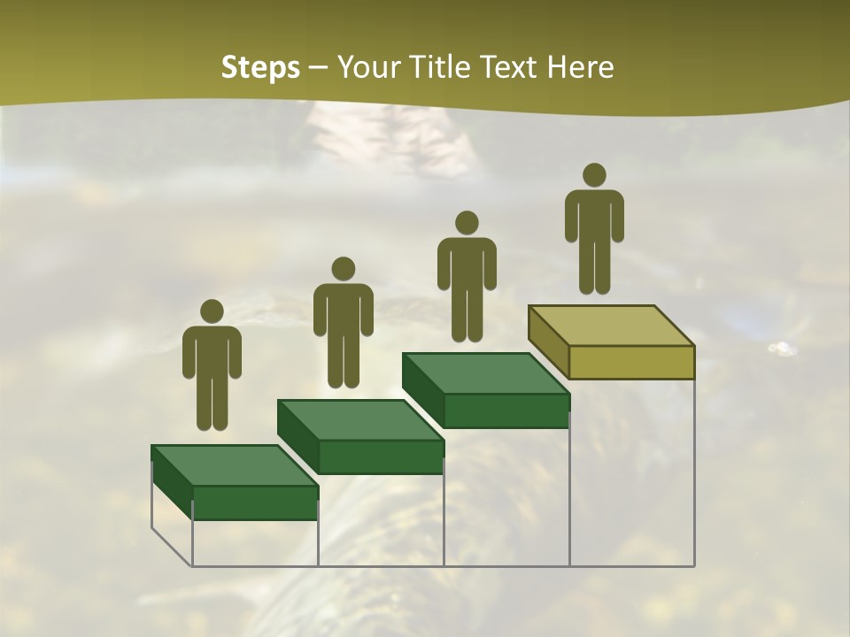 Flyfishing PowerPoint Template