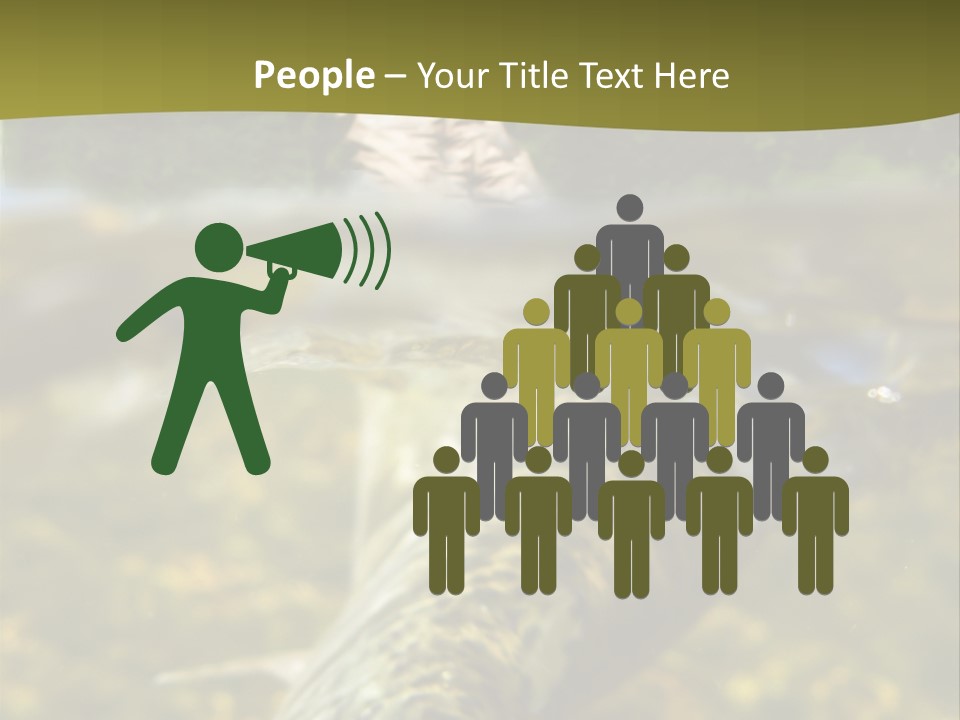 Flyfishing PowerPoint Template
