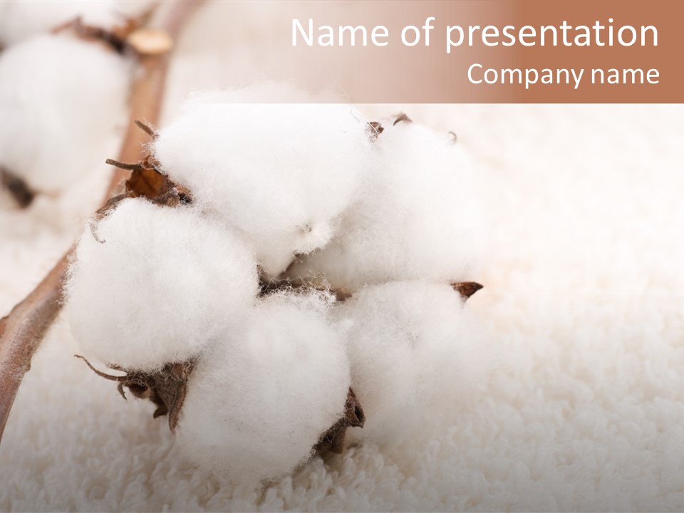 Fabric Farm Grow PowerPoint Template