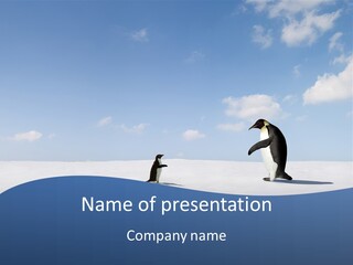 Adelie Penguin PowerPoint Template