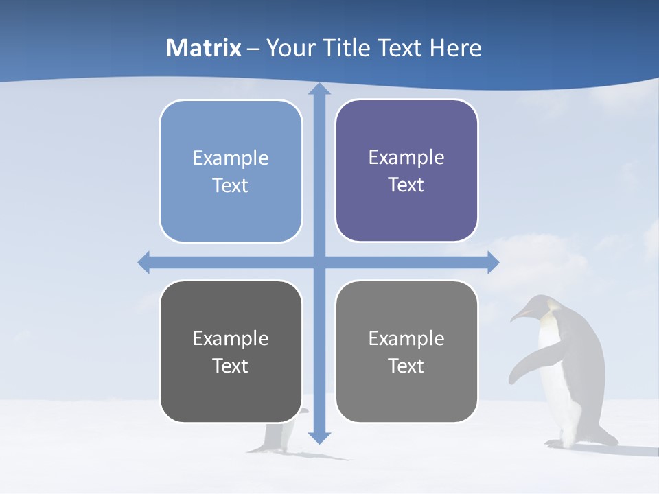 Adelie Penguin PowerPoint Template